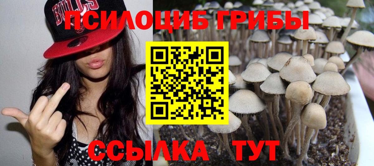 Псилоцибиновые грибы Magic Shrooms Каменск-Уральский